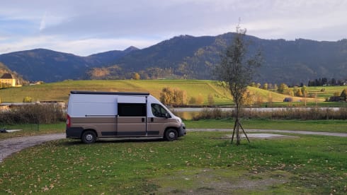 Autobus Fiat 2p del 2016