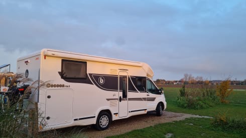 New Benimar Cocoon 463