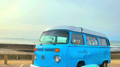 Zeppelin – Vintage Trip, combi westfalia 