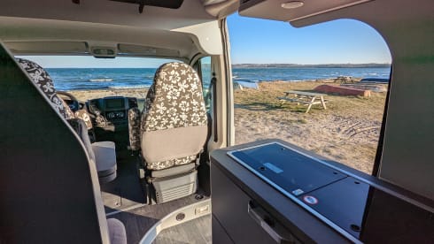 Der echte Norden Nr. 2 – bunk31 #2