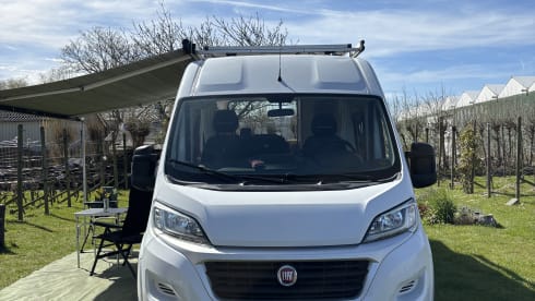OnTour – 3-seater Fiat bus from 2015