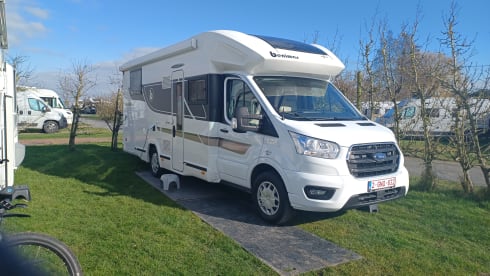4p Benimar semi-integrated uit 2023