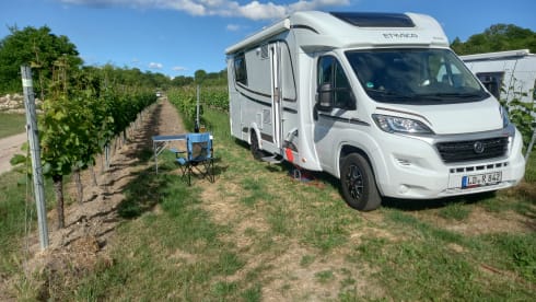 Perfecto Deluxe  – Etrusco 7400 Qb