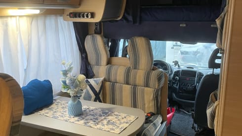 Flora madaluno – Fabiograsso2018@gmail.com