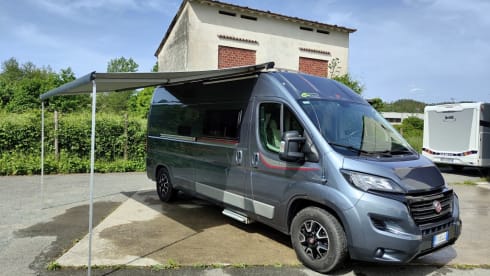 Living Stone 2 – LAIKA Ecovip 300