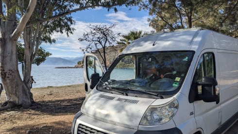 Balu – Vanlife Essentials - probier's mal mit Gemütlichkeit