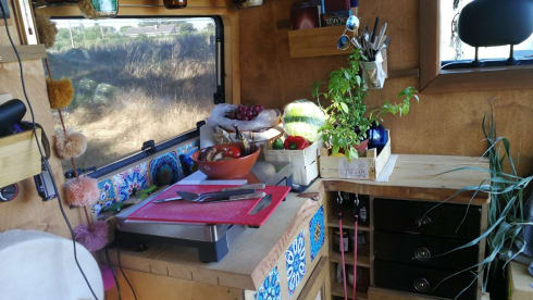 Lakshmi – Rêve d'infiltration Renault Master couvreur