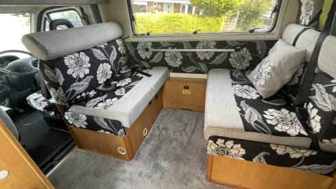 Molly – Molly (spacious and heated!)