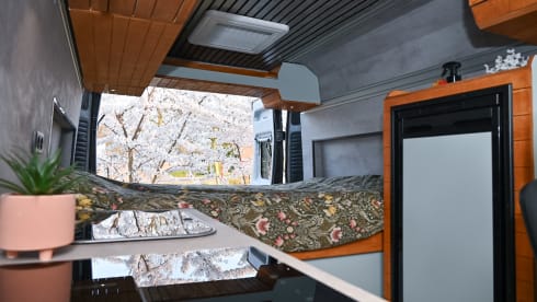 3-seater Peugeot bus from 2026