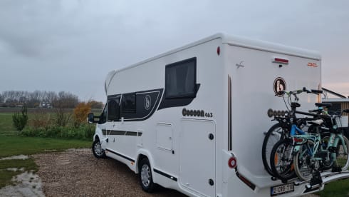 New Benimar Cocoon 463