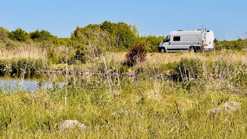 3p Fiat bus from 2025
