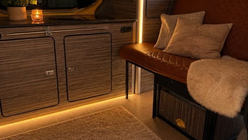 Renault-Campingbus mit 4 Schlafplätzen ab Baujahr 2017