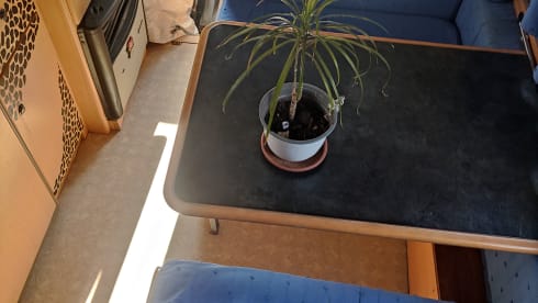 Ulisse – Travel free with Ulysses