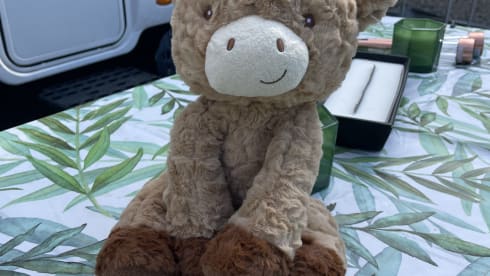 Queenie – Eldiss Majestic 250 - luxury 4 berth with extras 