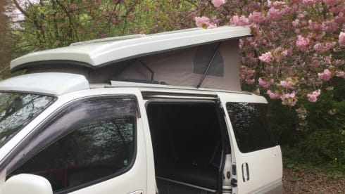 Toyota Granvia 4/5 berth automatic