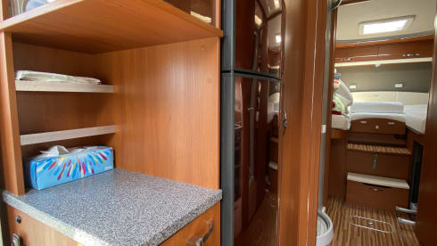 6p Frankia integrated uit 2013