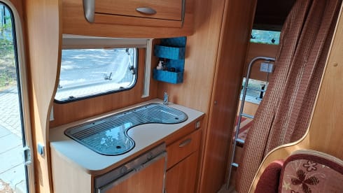 Kempie – Fine Chausson Ford - 2009 - 6 belts