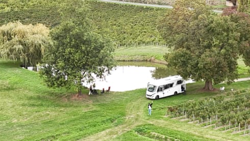 DELPORTE CYCLING – 5p McLouis CARAT 879 from 2025