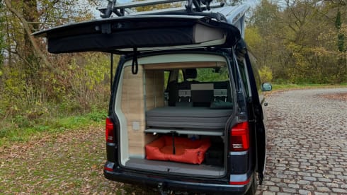 Kamiel – VW California Ocean (T6)  - automaat - full option - fietsenrek