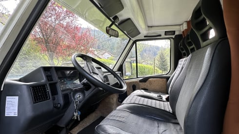 FREEDOM – Trendy Fiat camper for 3 people 🚐
