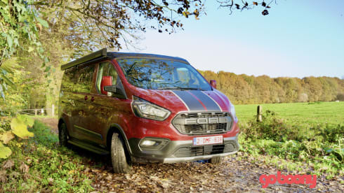 WOLF TRAIL – FORD NUGGET PLUS TRAIL 2022, economical and full option
