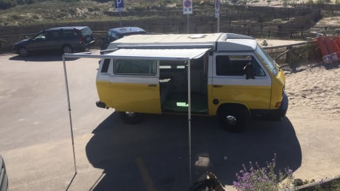 Vintage in freedom - T3 Westfalia