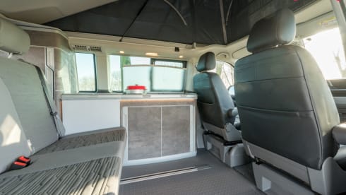 Luxury Volkswagen bus 6.1 California Ocean
