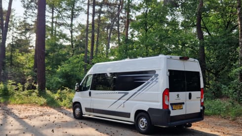 2p Peugeot bus from 2016