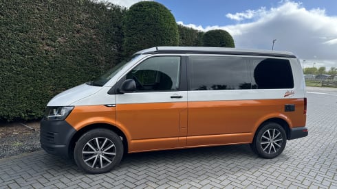 Camper Bronze – p Volkswagen bus from 2018