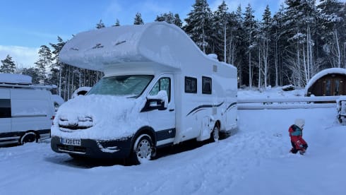 Loki – 4 berth Roller Team 290 Sport from 2020