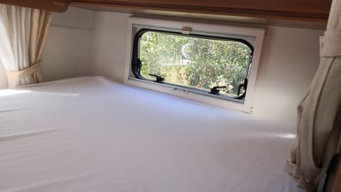 Camper Dynamic – Rimor semi-integrated from 2014
