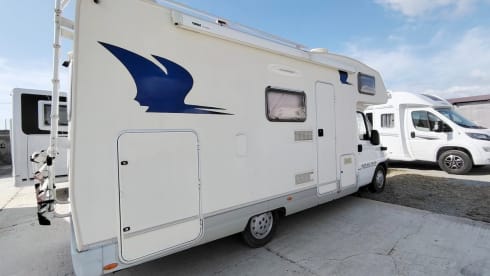 Marlin 65 – Elnagh Marlin 65