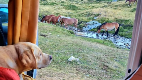 2-seater Nissan campervan from 2017