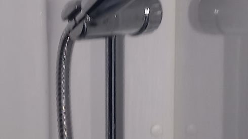 Petunia – The freedom to live in all the wonderful places.