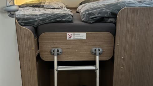 On the way home (T447)