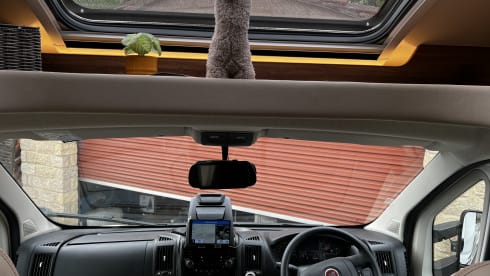 Rewind – Escapade familiale de luxe : camping-car moderne à 6 couchettes prêt pour l'aventure !