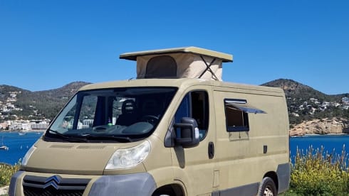 Palmtree – Spaceious Citroën Jumper