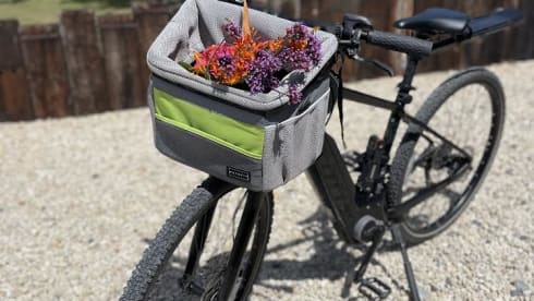 Albie – NEW Albie - Your Luxury Escape on Wheels