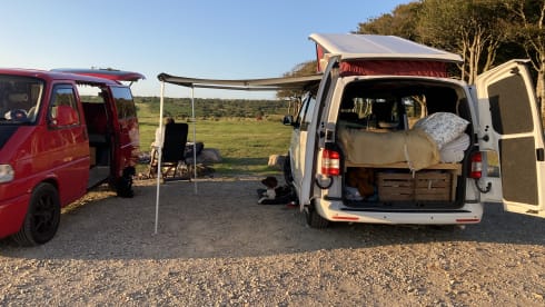 Brown Bear  – 4 berth Volkswagen campervan from 2013