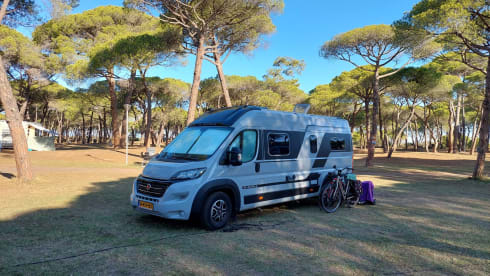 Brixton – 2P Adria Mobil Bus camper from 2021