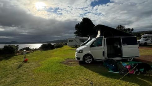 Transporter-Saurus-Rex – Transporter-Saurus-Rex... a 4 berth Volkswagen campervan from 2010