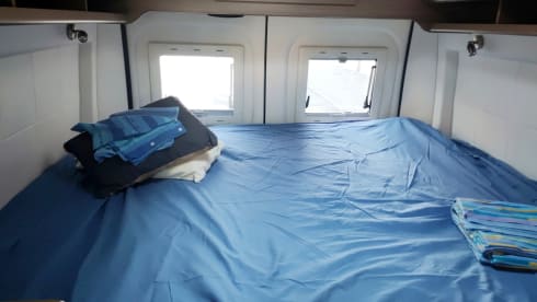  Swan – Nuovo Bravia 636 Swan