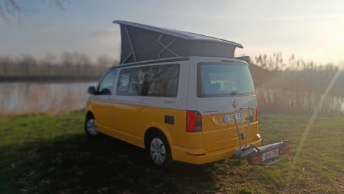 STORMY 1 – Volkswagen California Ocean 