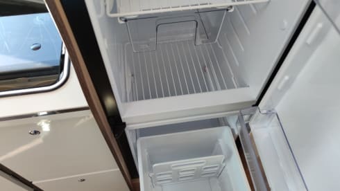 MC4 - 239 – MCLOUIS MC4 331