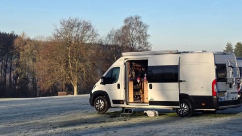 Herdy 🐑 – ✨ Luxuriöser Campervan mit 2 Schlafplätzen – nur für Erwachsene | Autarkie-fähig | Hundefreundlich ✨
