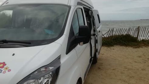 DUSTY – FORD TRANSIT CUSTOM HIGH TOP - UP TO 5 BERTH