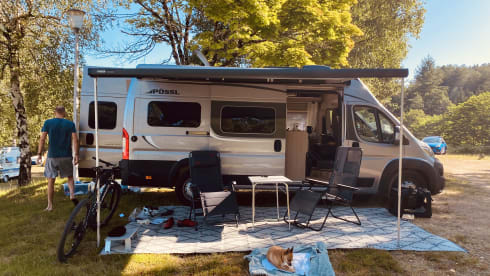 ARNOLD. – Bus 4p Pössl à partir de 2022