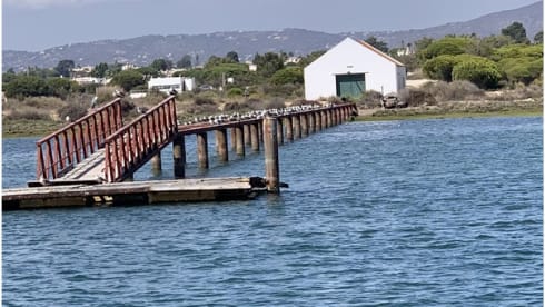 Charlie – Mercedes Charlie 308D