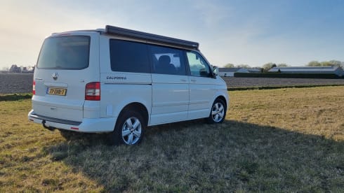 "De Witte" – 4p Volkswagen bus from 2004