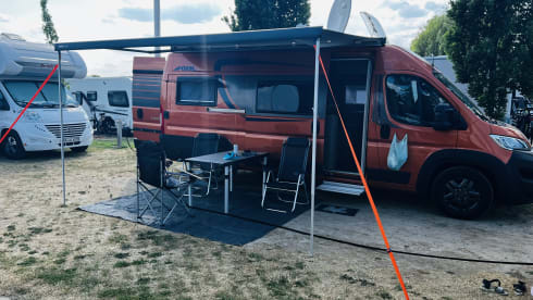 Bully – Van life goes with my "Bully"